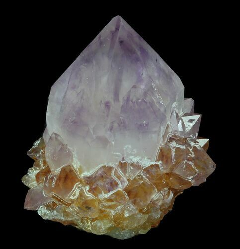 Cactus Quartz (Amethyst) Crystal Cluster - South Africa #64218